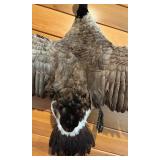 LL - Goose Taxidermy Mount