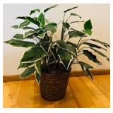 DR - Dieffenbachia Variegated Faux Plant - 33-Inch Tall in Woven Basket