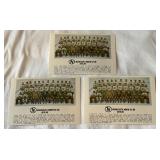 (3) 1979-80 Minnesota North Stars Vintage Hockey Team Post Cards