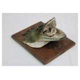 Taxidermy Fish Head Mounted on Wood Plaque Display - Rustic Marine Trophy 10" x 8" x ~5"