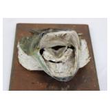 Taxidermy Fish Head Mounted on Wood Plaque Display - Rustic Marine Trophy 10" x 8" x ~5"