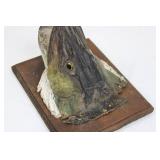 Taxidermy Fish Head Mounted on Wood Plaque Display - Rustic Marine Trophy 10" x 8" x ~5"