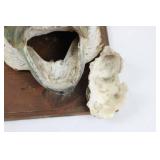 Taxidermy Fish Head Mounted on Wood Plaque Display - Rustic Marine Trophy 10" x 8" x ~5"
