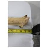 Driftwood Branches - Natural Wood Decor, Assorted Lengths