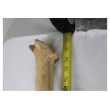 Driftwood Branches - Natural Wood Decor, Assorted Lengths