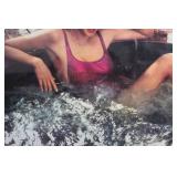 Schmidt Honest To Minnesota Advertising Poster - Vintage Beer Art 36 x 24.5 in