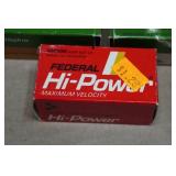 Assorted .22 LR Ammo