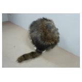 Faux Coon Skin Hat