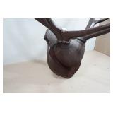 Wall-Mounted Elk Horns - Stained