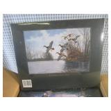 (BS) Case of 8 New Wild Fowl of Nor...