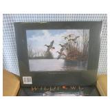 (BS) Case of 8 New Wild Fowl of Nor...