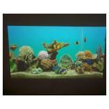 Sony VPL-FHZ55 WXGA Widescreen Laser Light Source 4000-Lumen Home Theater Conference HD Video Projector with HDMI Cable