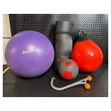 Reebok Purple Exercise Ball, BodyFit Roller, Medicine Balls & Balance Bar - Home Gym Set