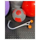 Reebok Purple Exercise Ball, BodyFit Roller, Medicine Balls & Balance Bar - Home Gym Set