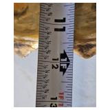 Snapping Turtle shell measuring approximately 12 inches