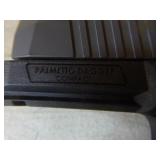 Palmetto Dagger Compact 9mm Pistol