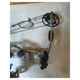 Hoyt Compound Bow