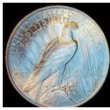 AU 1923 Peace Dollar, Original Surfaces