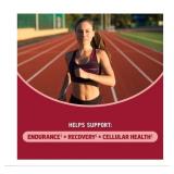 NEW Om Mushrooms Cordyceps Capsules, 195 count