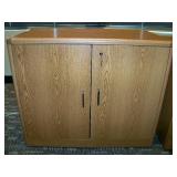 Lockable Enclosed Wood Office Bookshelf / Storage Shelf / Hutch (KEYS included) and 2-Drawer Wood File Cabinet on Wheels