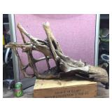 Large Piece Driftwood 36" x 20" x 10" Appears Varnished