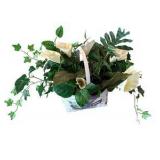 Four Faux Plants