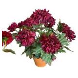 Four Faux Plants