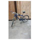 Schwinn bicycle