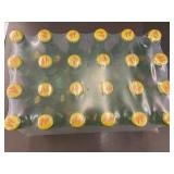 Topo Chico Mineral Water Carbonated 12 Fl Oz Bottles - 24 Pack