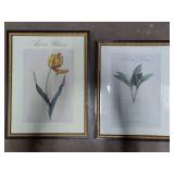 Two Minneapolis Art Institute "Art in Bloom" Prints