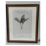 Two Minneapolis Art Institute "Art in Bloom" Prints