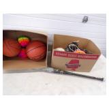 Sports Fun Lot,  Basketballs, Volley Ball and more