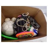 Sports Fun Lot,  Basketballs, Volley Ball and more