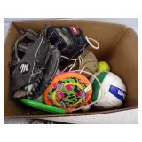 Sports Fun Lot,  Basketballs, Volley Ball and more