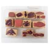 Sea Life Rubber Stamps on Wood Blocks - Assorted Marine Life Designs