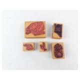 Bird Rubber Stamp Set on Wood Blocks - 5 Assorted Bird Designs