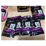 Cesar Dog Food Packets