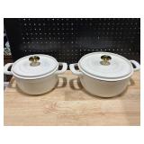 Dutch Oven 2 Piece Set Has Small Chips