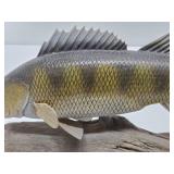 Outstanding Hand Carved Wood Walleye Fish Decoy by Renowned Wood Carver Dave Constantine
