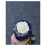 Great looking Vintage 1960