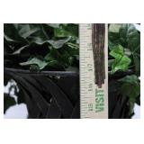 Iron Cast Garden Urns - Lattice Pattern, Pair with Removable Ivy Leaves 17" x 16"