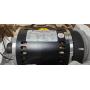 Horizon Commercial Treadmill Motor with 3.5 Horsepower (HP): NEW