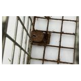 7 1/2" x 8 1/2" x 14" Metal live Trap (Some Light Rust present)