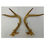 Six Point Buck Deer Antlers And Small Rodent Skull