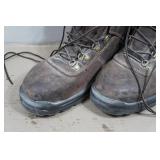 Irish Setter Ely Men