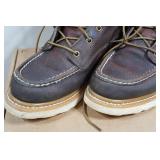 Irish Setter Ashby Men