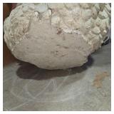 Large Heavy Concrete Hen Chicken Garden Statue Farmhouse Yard Decor Cast Stone Sculpture