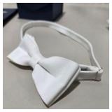 Vintage Great Dane Collectibles Lot Lucite Etched Dog Plaque in Case, Pin, Bow Tie, Photo Book