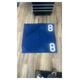 #8 horse blanket