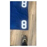 #8 horse blanket